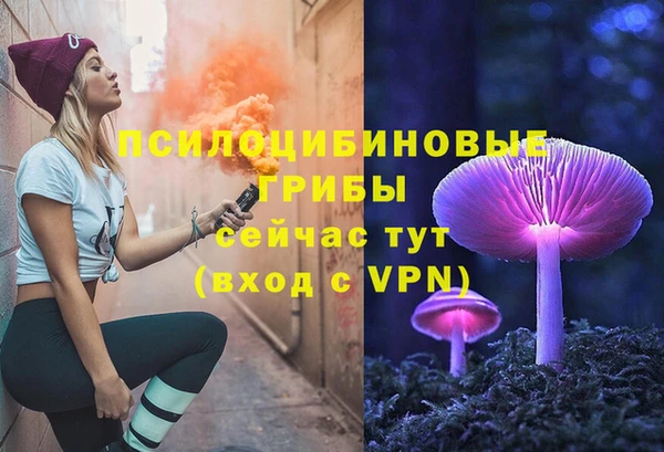 бошки Нефтегорск