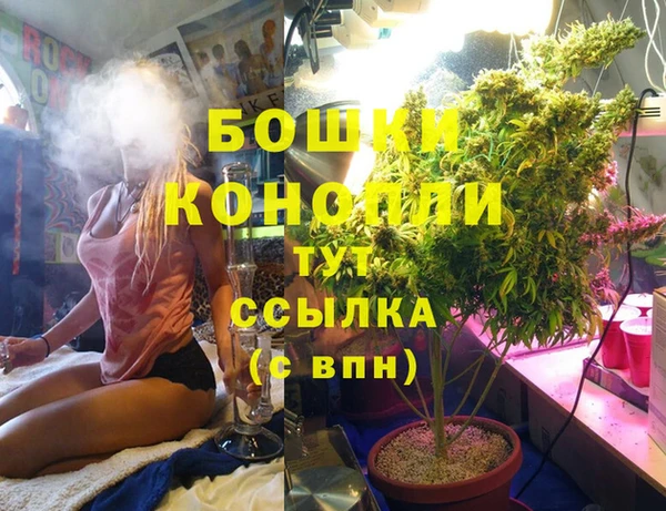 бошки Нефтегорск