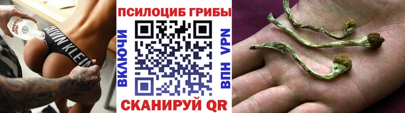 Галлюциногенные грибы мицелий  Волжск 