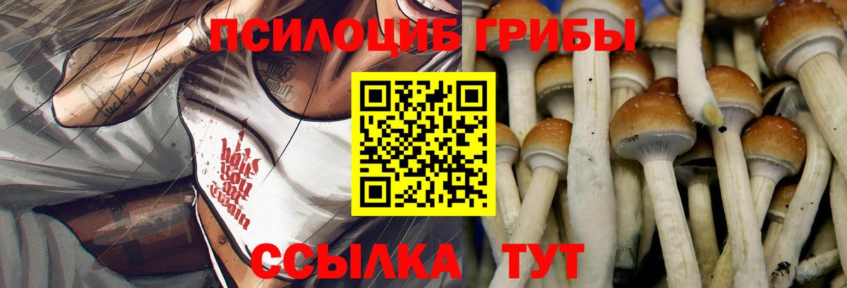 Галлюциногенные грибы мицелий Волжск